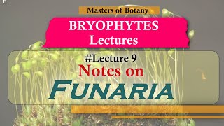 Lecture 9  Funaria Life Cycle Important Bryophytes  Bryophyta Lecture Notes [upl. by Merl]