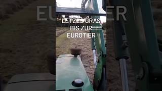 MAIS GEHÄCKSELT LETZTE GRASSILAGE EUROTIER ERNTESAISON VORBEI landwirtschaft silage [upl. by Alekehs694]