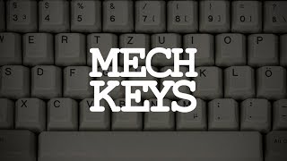 Mechanical Keyboards A Brief Introduction [upl. by Aiel]