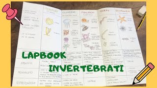 LAPBOOK sugli INVERTEBRATI come realizzarlo Tutorial semplice per classe quarta primaria📚 [upl. by Nylakcaj]