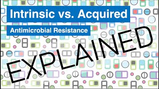 Intrinsic Resistance  What You NEED to Know [upl. by Nolyad533]