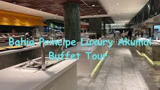 Bahia Principe Luxury Akumal Buffet Tour [upl. by Dlareme223]