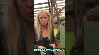 LECHUGA HIDROPONICA  VIDEO COMPLETO EN MI YOUTUBE campo agro lechuga hidroponia vegetales [upl. by Sybilla]