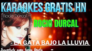 Rocio Durcal  La Gata Bajo la Lluvia  Karaoke Original [upl. by Aniela]