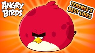 Angry Birds  Terences Best Lines [upl. by Eak]