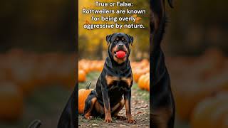 True or False Rottweilers are known for being overly aggressive by nature [upl. by Gniliem184]