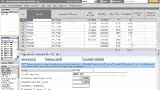 Tax Import Review imported data [upl. by Adnirak]