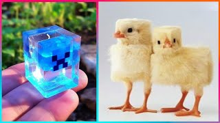 MINECRAFT Creations And Crafts That Are Next Level ▶4 [upl. by Rivkah539]