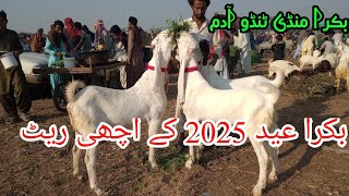 Bakra Eid 2025ka Lay BakreTando adam Bakra MandiDecember 7 2024 [upl. by Proud]