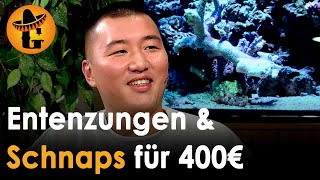 InstagramKoch Jing Chen Chinesische Delikatessen für Stermann amp Grissemann  Willkommen Österreich [upl. by Epp]