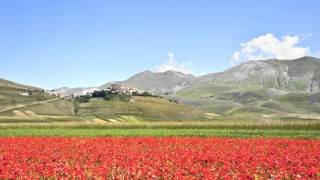 Un anno a Castelluccio di Norcia [upl. by Atinuhs338]