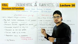 Prokaryotic and eukaryotic cell  Differences and Similarities  Video 16 [upl. by Alyam]