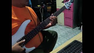 lola amour uminit bass cover [upl. by Airual]