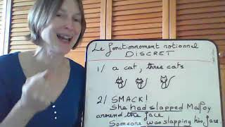 Linguistique anglaise S Oriez  Le fonctionnement notionnel discret des noms et des verbes [upl. by Clarie]