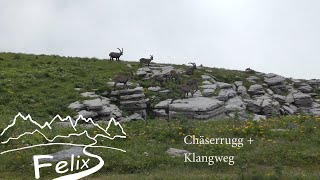 Walensee Wanderungen Chäserrugg  Klangweg 2016 [upl. by Chapland]