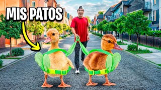 MIS PATOS CONOCEN EL MUNDO REAL POR PRIMERA VEZ [upl. by Eatnod]