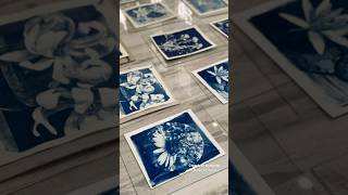 How to do cyanotype print cyanotype workshop at Delhi Art Centre cyanotype [upl. by Meer]