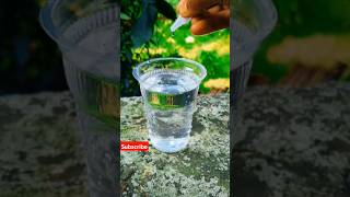 Water  fevikwik new science experiment video shortvideoscience viralvideo experimentl [upl. by Nyrehtac65]