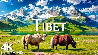 Tibet 4K UHD Amazing Aerial Film  Majestic Aerial Footage of Himalayan Landscapes  4K Video UHD [upl. by Wera]