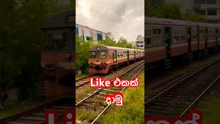 Colombo train journey srilankatrainjourney travel trainjourney [upl. by Tremann]