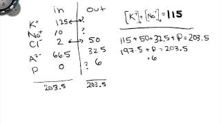 Solving An Eqilibrium Problem [upl. by Llenrep]