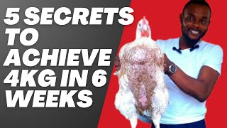 5 Secrets to Achieve 4kg in 6 Weeks [upl. by Greyson]