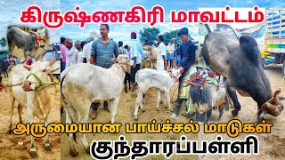 2792024 kundarapalli Friday market Krishnagiri district அருமையான பாய்ச்சல் மாடுகள் கிருஷ்ணகிரி [upl. by Ynohtn]