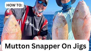 How to Jigging Mutton Snapper  jigging Mutton  Best Jigging Mutton Snapper  Mutton snapper Fsftv [upl. by Meagher]