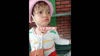 Ada burungcutechild cute funny cutetoddlerfunnychild lucu love happy life daily dailyvlog [upl. by Amitie636]