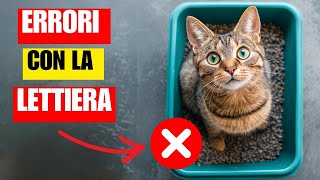 13 errori da non fare MAI con la lettiera del tuo gatto [upl. by Nynahs]