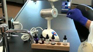 How to Prepare a Bacterial Smear for Gram Stain [upl. by Tessler361]