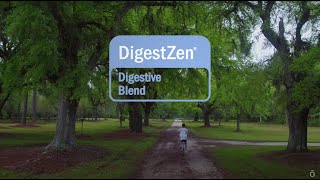 dōTERRA DigestZen Essential Oil  Benefits and Uses [upl. by Lehcear454]