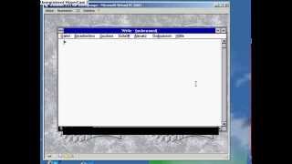 Windows 311 for Workgroups German IN Virtual PC 2007 [upl. by Boccaj]