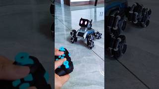 Rc Remote Control Robot Dog [upl. by Broddie489]