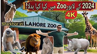 Lahore Zoo in 4K P01Lahore Zoo Reopened 2024 Lahore Zoo like Europe zoo animals travelistan [upl. by Adnert490]