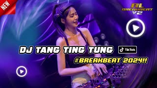 DJ TANG TING TUNG  DUGEM BREAKBEAT TERBARU 2024 FULL BASS VIRAL TIKTOK [upl. by Berns]