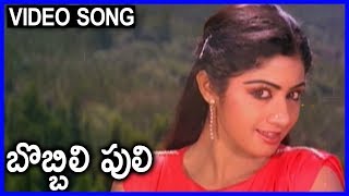 Bobbili Puli  Super Hit Video Song  NTR Sridevi [upl. by Schuster]