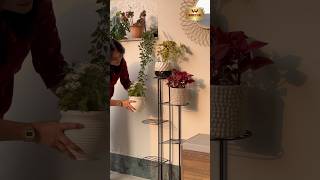 Planter standDecor home with plantsHomedecor youtube plants plantstand homedecor diwali [upl. by Birk]