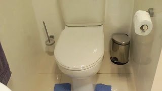 Bathroom RENOVATION  repairing a glued leaking toilet cistern [upl. by Avot]