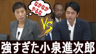 小泉進次郎 辻元清美の鋭い 論破 にもノーダメージで切り返しが凄いwww [upl. by Bullough]