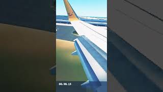 Extreme Tuifly Cross wind Turbulence Landing At KSFO [upl. by Sine824]