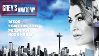 Greys Anatomy Soundtrack  quotPassengerquot by Noah Kahan 14x09 [upl. by Bean691]