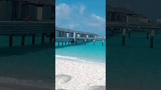 MaldivesresortvideoachchaLagetochallenge kosearch typekar dena [upl. by Autrey]