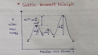 Curtin Hammett Principle  Organic chemistry  MSc Semester 1 Notes [upl. by Aneelahs]