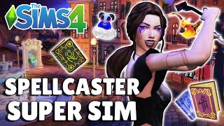 I Made The Most Powerful Spellcaster Possible  Super Sim Series 14 [upl. by Ylliw]