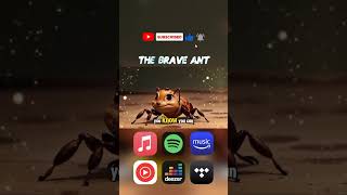 The Brave Ant  Fairy Tale Songs For Childrens [upl. by Monda]