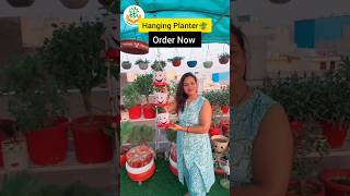 hanging Planter 😄 shortsvideo gardeningcare [upl. by Niel]