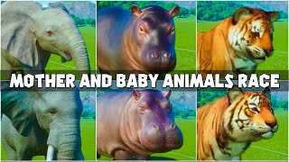 Animals Mother and Baby Race African Elephant amp Calf Bengal Tiger amp Cub Hippopotamus amp Calf [upl. by Dlonyer]