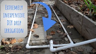 DIY garden irrigation with PVC pipes Cheap and simple [upl. by Kalikow]