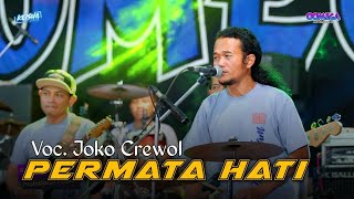 Permata Hati  Joko Crewol ft Omega Music Live Randu Padangan [upl. by Borg]